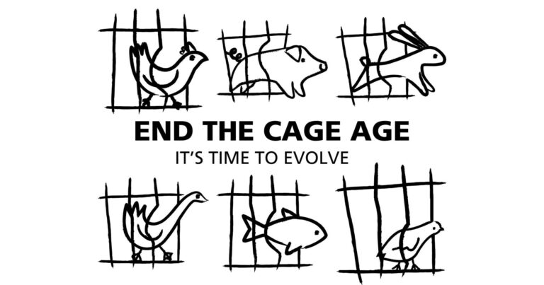 Szőnyeg alá söprik az “End the Cage Age” kezdeményezést?