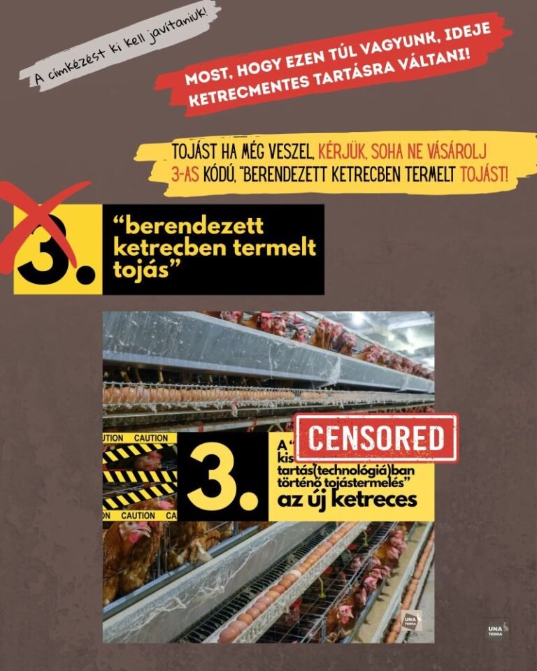 Az Una Terra kifogása nyomán kötelezővé vált a ketreces tojások valós megnevezése