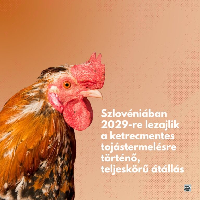 REAKING NEWS déli szomszédunkból!